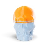 skull 14