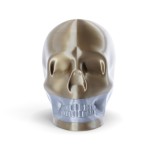 skull 19